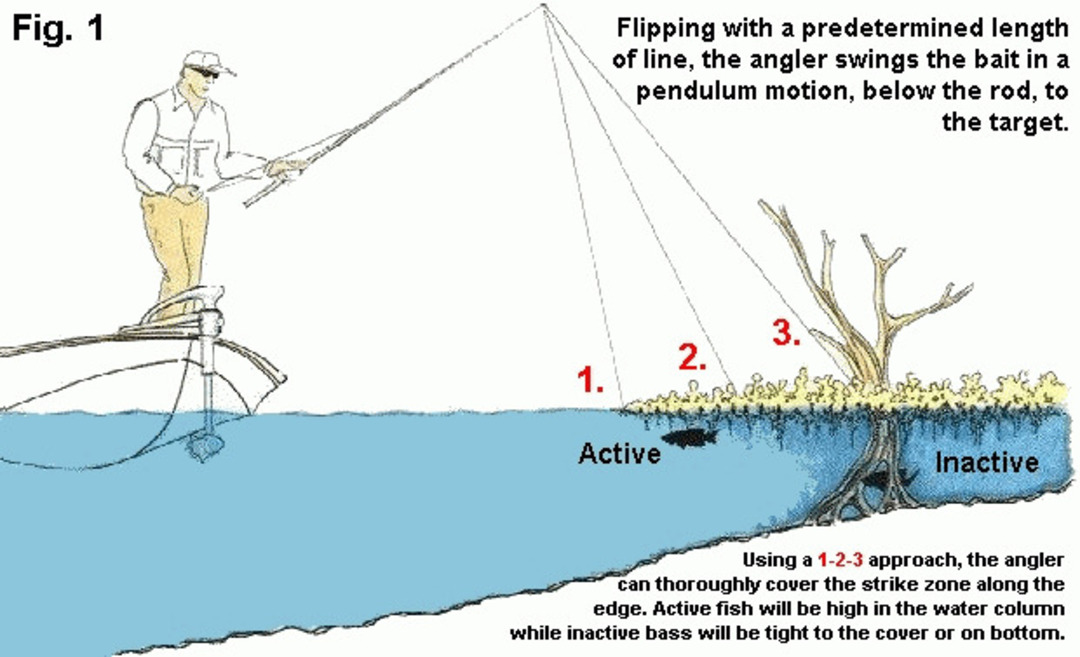 Five Smart Ways to Improve Your Bass Catch Rate