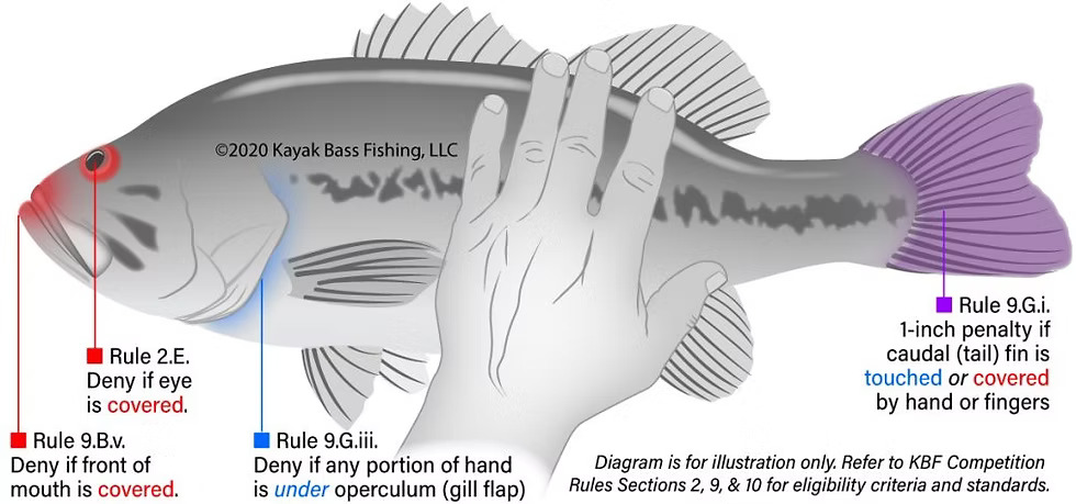 Legal Fish Strict Enforcement of State & Federal Fishing Laws
