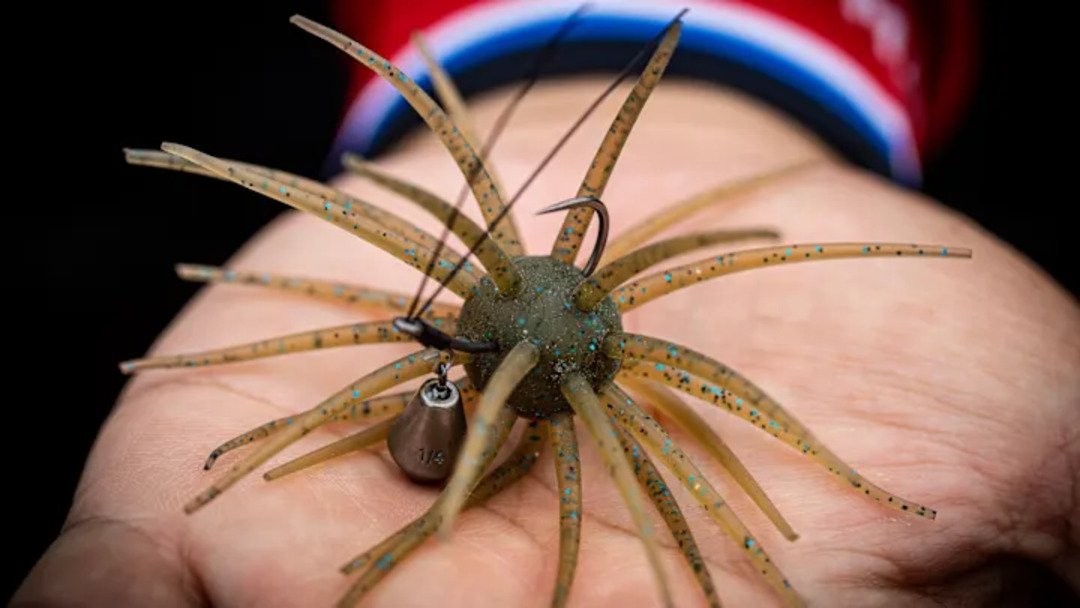 Why Weird Lures Like the Coike Are Taking Over Bass Fishing